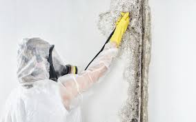 Best Water Damage & Mold Remediation  in Ceres, CA